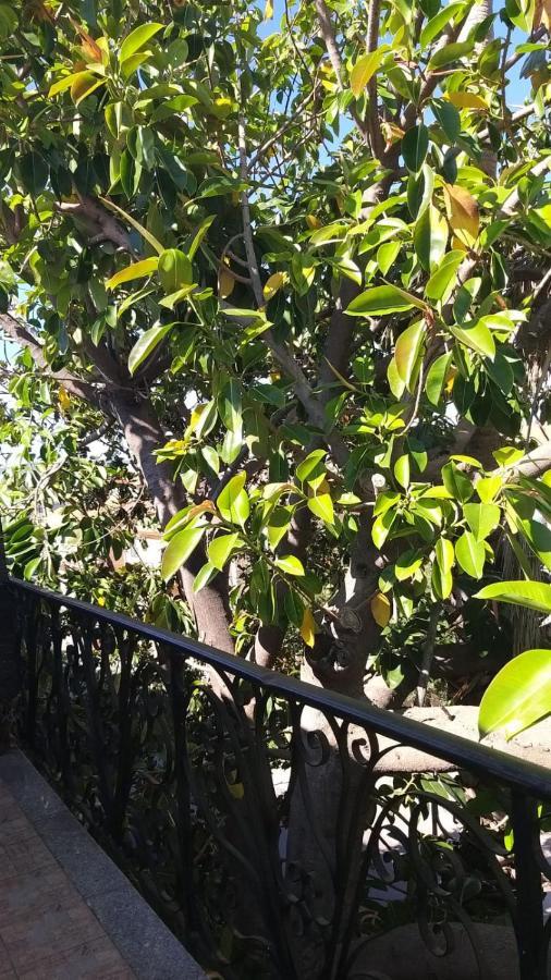 Appartamento La Palma Позада Екстер'єр фото